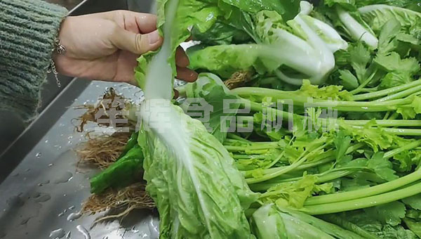无损清洗机