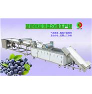 蓝莓/蔬果全自动清洗分级生产线