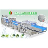 无损洗菜机\无损清洗机\九米无损洗菜机 SWS-306 (视频)